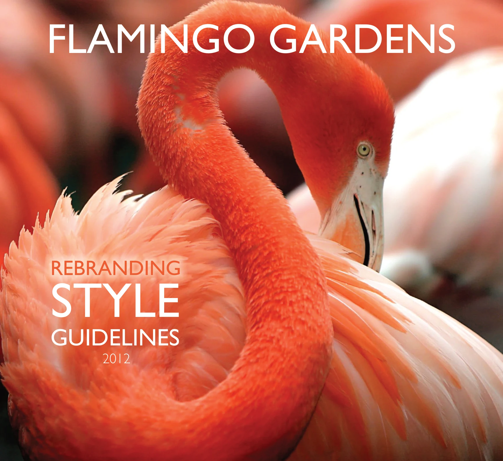 Flamingo Gardens branding and style guide